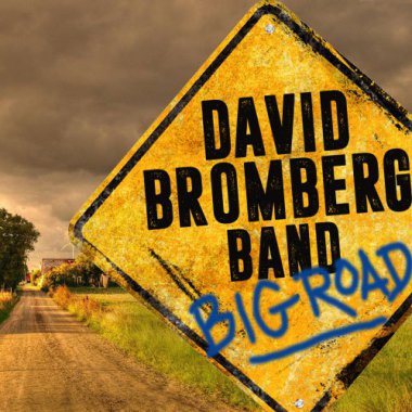 David Bromberg