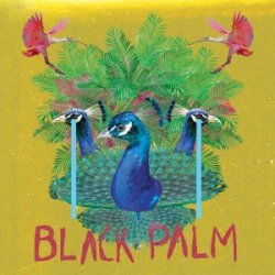 Black Palm<small></small>