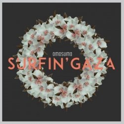 Surfin` Gaza<small></small>