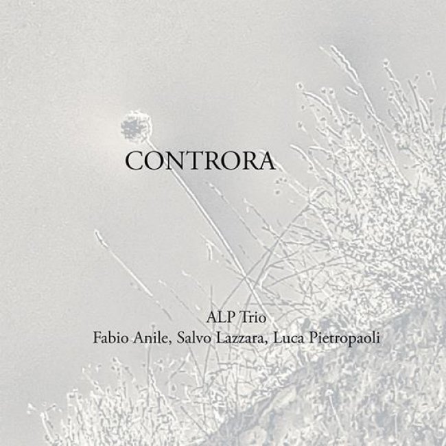 Controra<small></small>