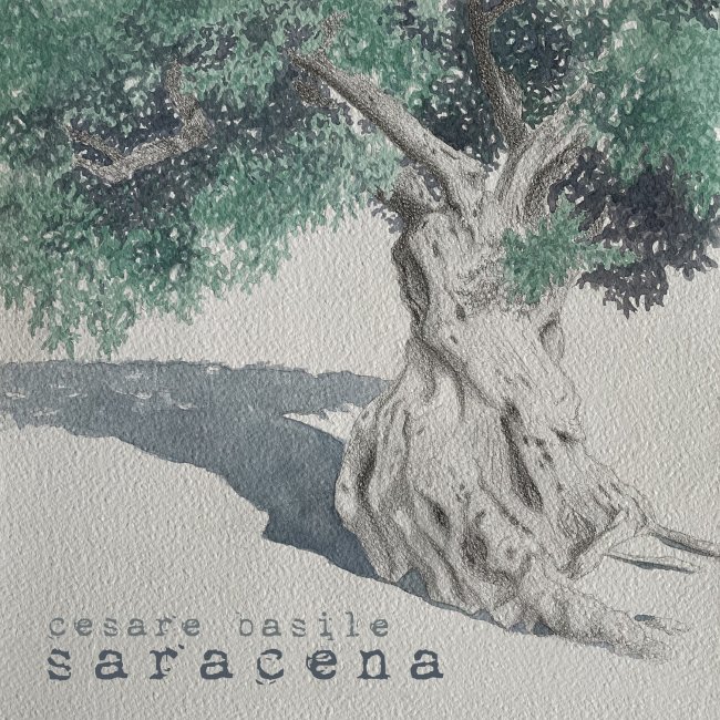 Saracena<small></small>