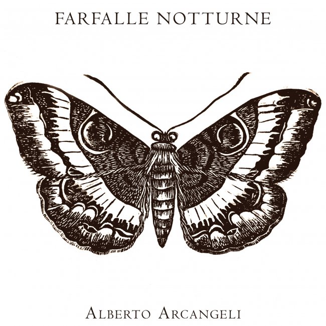 Farfalle notturne<small></small>